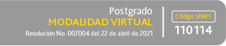 Modalidad Virtual